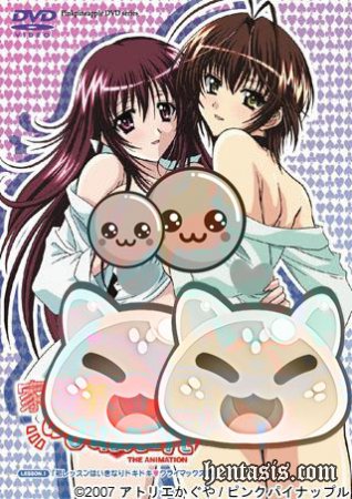     / Kateikyoushi no Onee-san The Animation: H no Hensachi Agechaimasu (2007.)