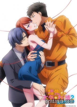     2:     / Yubisaki kara Honki no Netsujou 2: Koibito wa Shouboushi (2021.)